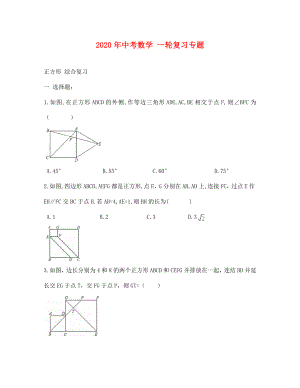 中考數(shù)學(xué)一輪專題復(fù)習(xí) 正方形及答案