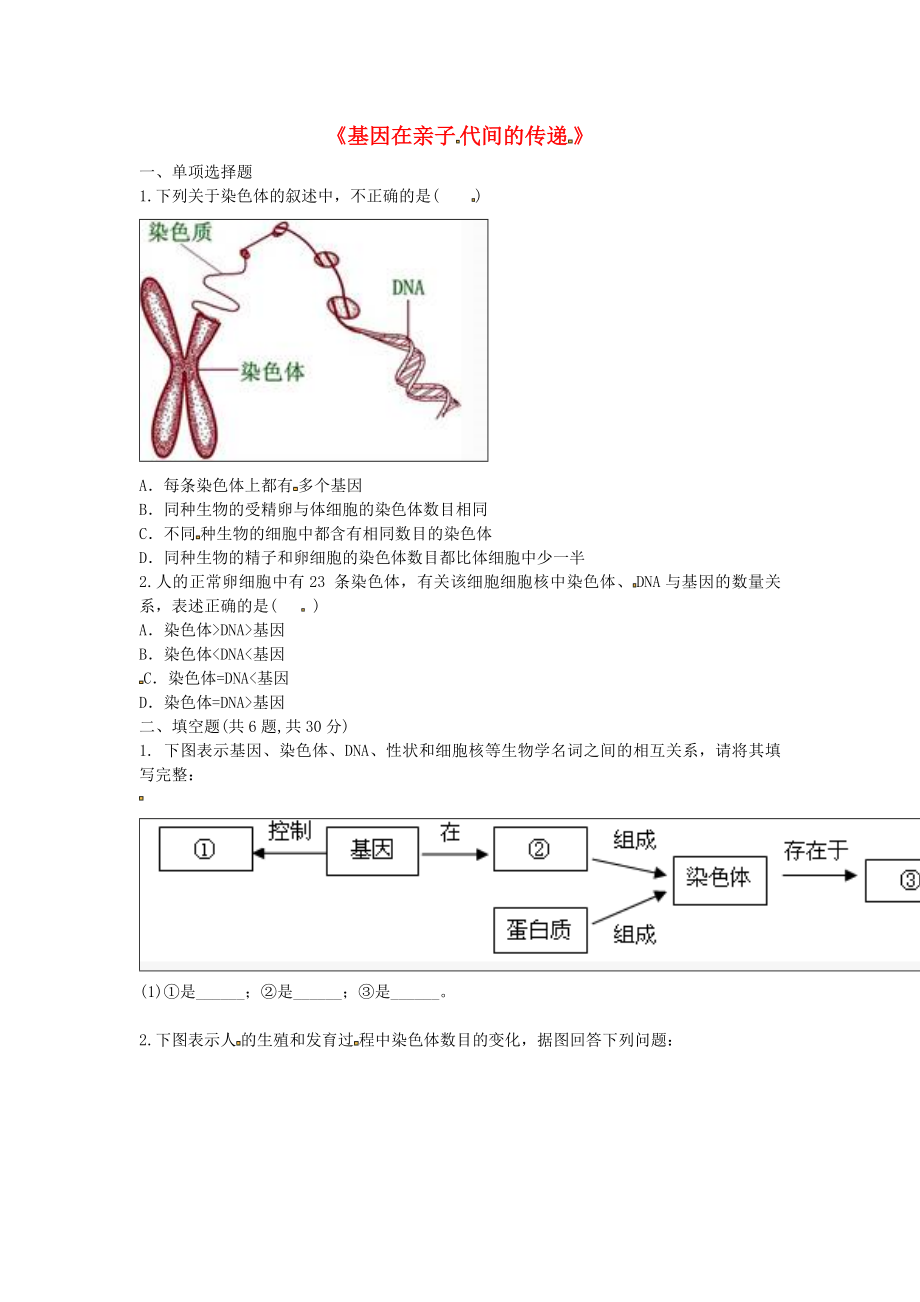 河南省永城市八年级生物下册 7.2.2《基因在亲子代间的传递》综合训练（无答案）（新版）新人教版_第1页