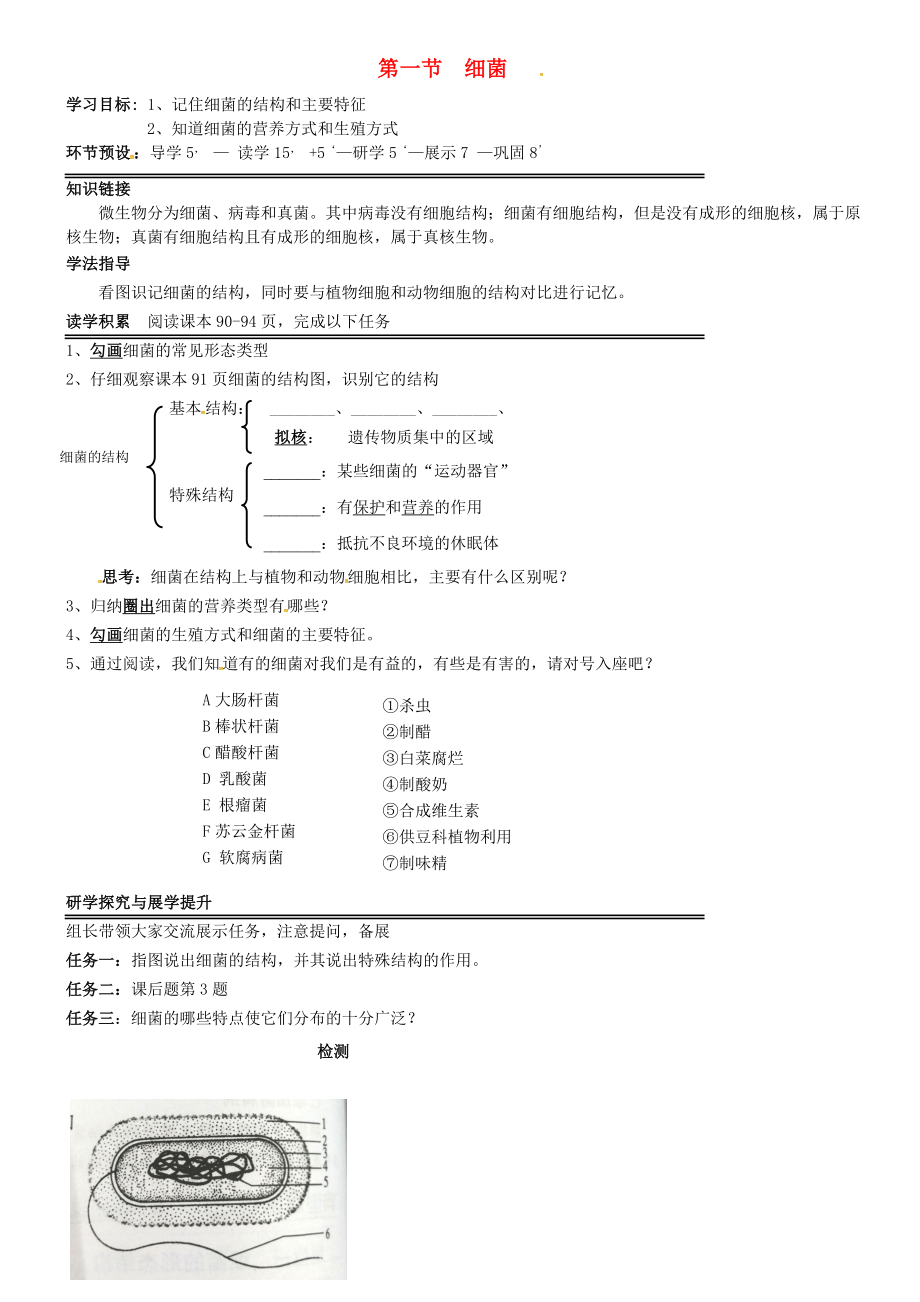 河北省石家莊創(chuàng)新國際學(xué)校八年級生物上冊 第5單元 第1章 第1節(jié)《細(xì)菌》學(xué)案（無答案） 冀教版_第1頁