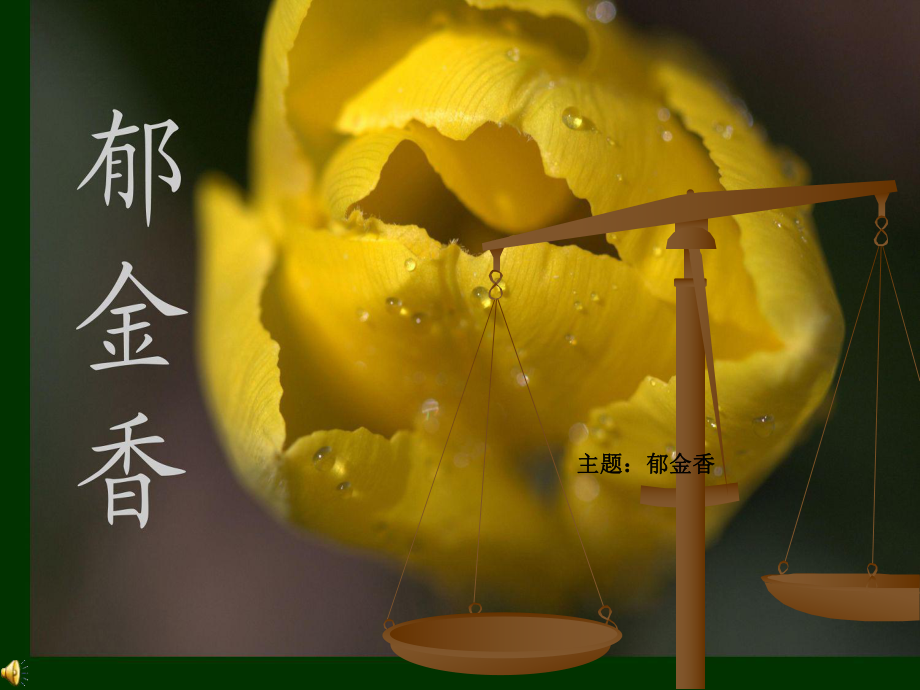 我喜欢的花郁金香课件_第1页