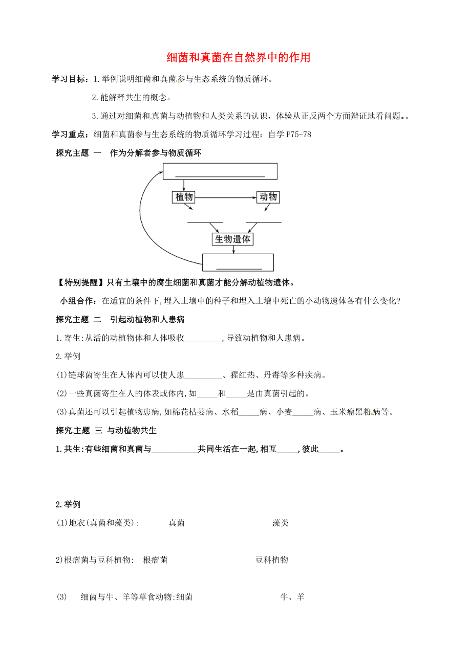广东省深圳市文汇中学八年级生物上册 5.4.4 细菌和真菌在自然界中的作用指导教学书（无答案）（新版）新人教版_第1页