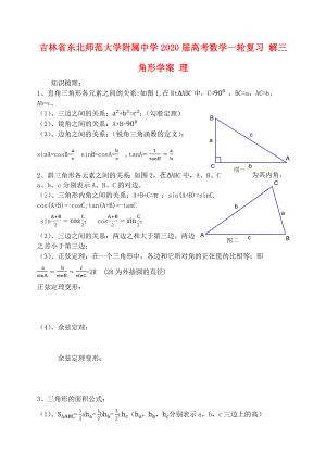 吉林省東北師范大學(xué)附屬中學(xué)2020屆高考數(shù)學(xué)一輪復(fù)習(xí) 解三角形學(xué)案 理