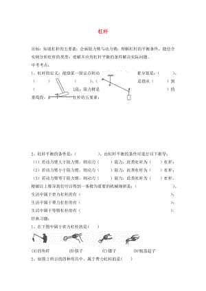 2020年中考物理專題復(fù)習(xí) 杠桿（無答案）