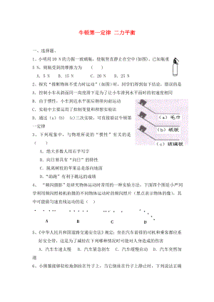 2020年中考物理專題訓練 牛頓第一定律 二力平衡（無答案）