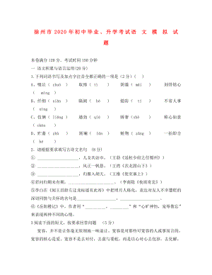 江苏省徐州市2020年中考语文模拟试题