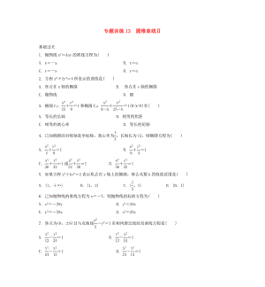 2020年高二數(shù)學(xué) 專題訓(xùn)練13 圓錐曲線