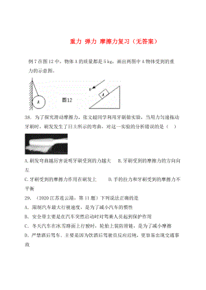 內(nèi)蒙古鄂爾多斯市達(dá)拉特旗第十一中學(xué)九年級(jí)物理全冊(cè) 重力 彈力 摩擦力復(fù)習(xí)（無(wú)答案） 新人教版（通用）