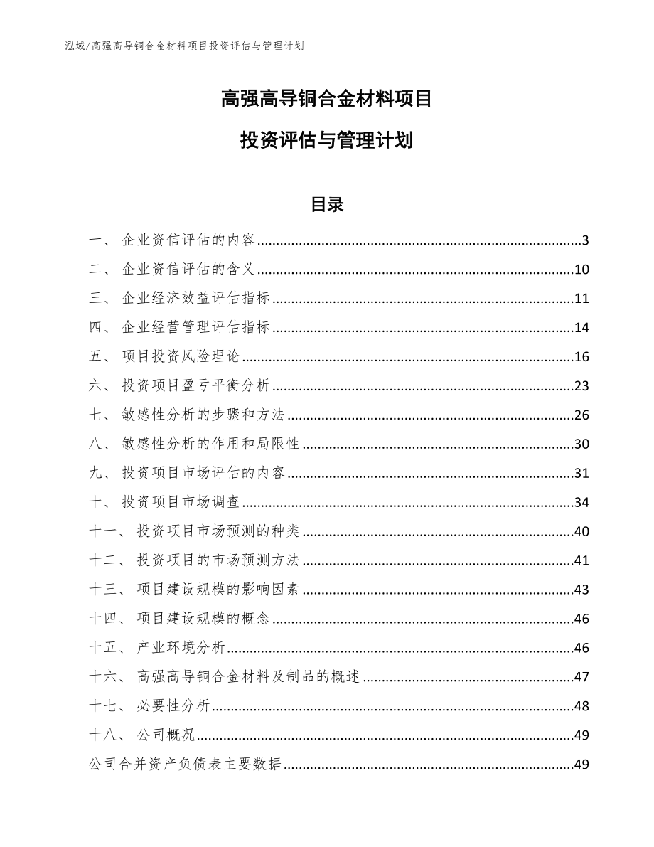 高强高导铜合金材料项目投资评估与管理计划（范文）_第1页