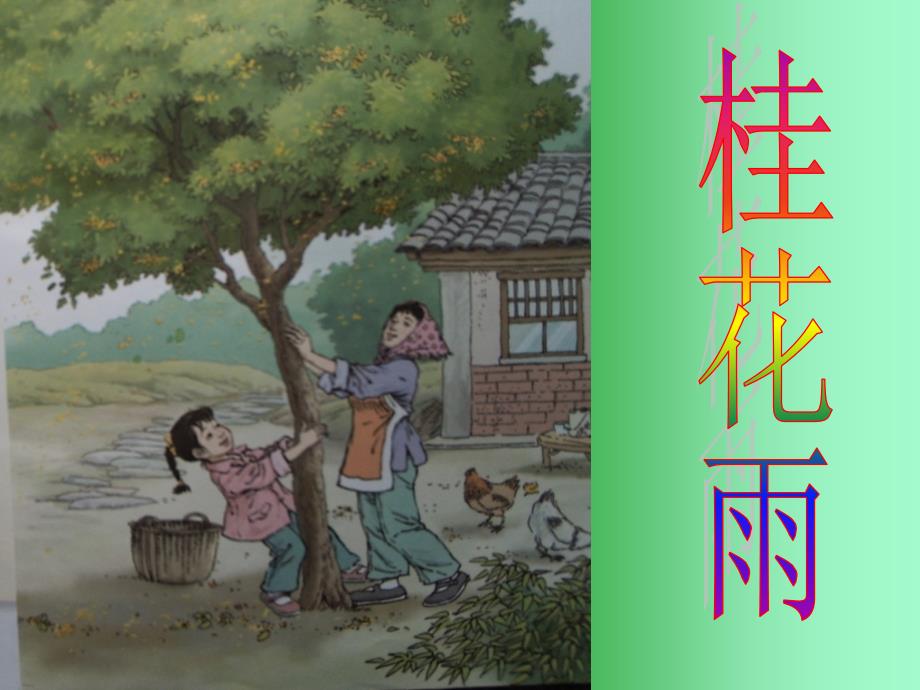 四年级上册语文课件-12 桂花雨｜苏教版 (共34张PPT)_第1页