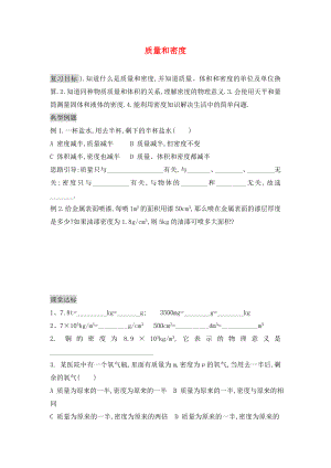 九年級(jí)物理全冊(cè) 質(zhì)量和密度復(fù)習(xí)（無答案） 新人教版（通用）