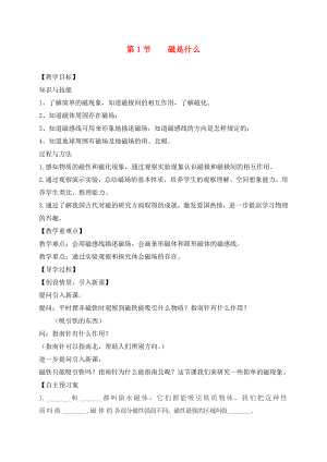 （貴陽專版）2020年秋九年級物理全冊 第17章 從指南針到磁浮列車 第1節(jié) 磁是什么教學(xué)案（無答案）（新版）滬科版