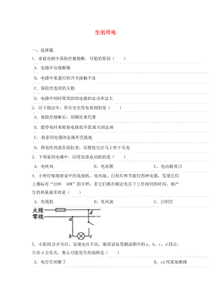 2020年中考物理二輪模擬試題 生活用電（無答案）