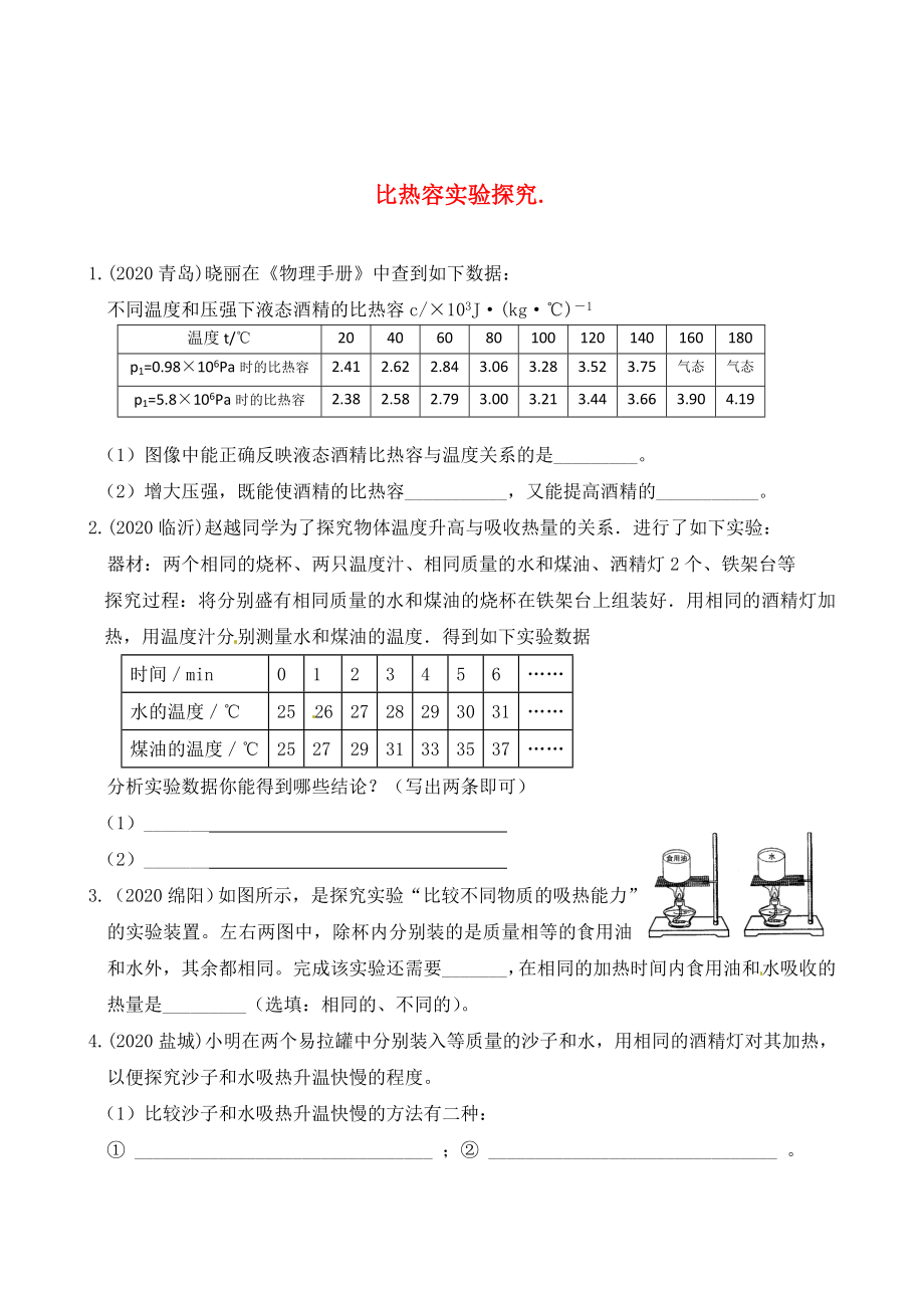 2020年中考物理復(fù)習(xí) 比熱容實(shí)驗(yàn)探究_第1頁(yè)