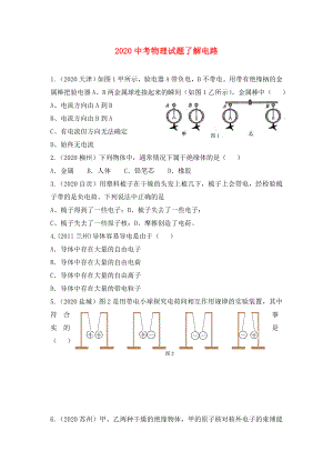 2020中考物理 了解電路試題（無(wú)答案） 上科版