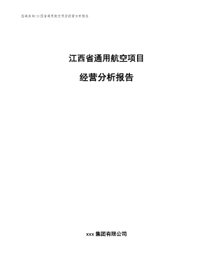 江西省通用航空项目经营分析报告_模板参考