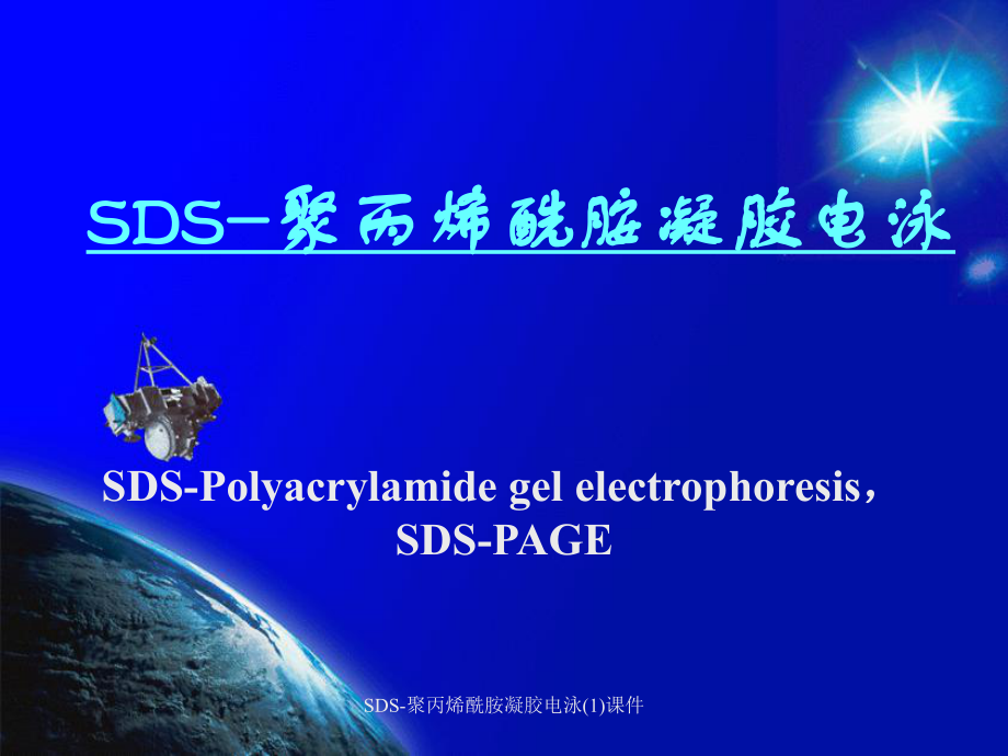 SDS-聚丙烯酰胺凝胶电泳(1)课件_第1页