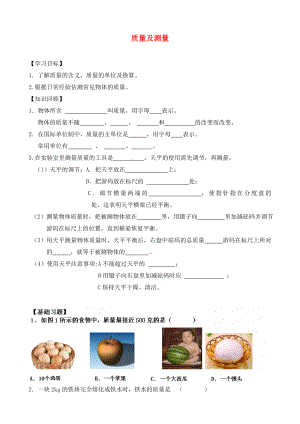 北京市延慶縣十一學(xué)校中考物理專題復(fù)習(xí) 質(zhì)量及測量