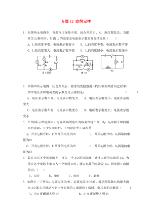 北京市2020中考物理總復(fù)習(xí) 專題12 歐姆定律練習(xí)1（無(wú)答案）