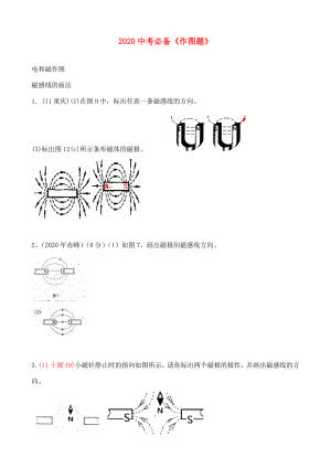 2020中考物理 必備電和磁作圖練習(xí)