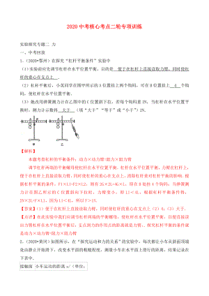 2020中考物理 核心考點二輪專項訓練 實驗探究專題二 力（含解析）