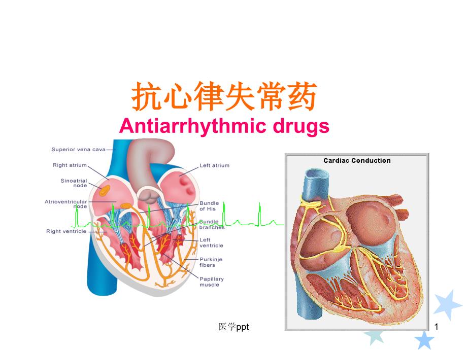 《心率失常药》课件_第1页