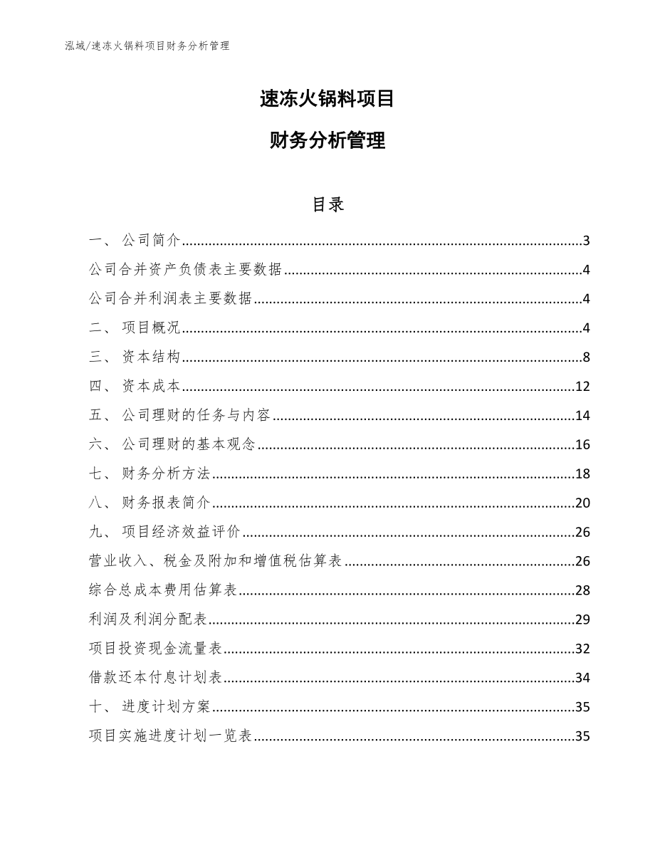 速冻火锅料项目财务分析管理【参考】_第1页