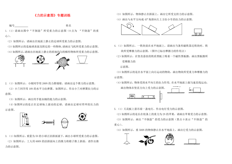 九年級物理 《力的示意圖》專題訓(xùn)練 九全 人教版（通用）_第1頁