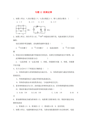 北京市2020中考物理總復習 專題12 歐姆定律練習2（無答案）