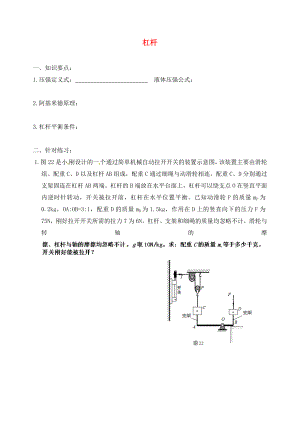 北京市延慶縣十一學(xué)校中考物理專題復(fù)習(xí) 杠桿