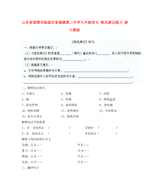 山東省淄博市臨淄區(qū)皇城鎮(zhèn)第二中學九年級語文 桃花源記練習（無答案） 新人教版（通用）