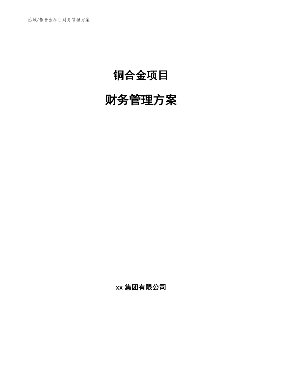铜合金项目财务管理方案【范文】_第1页