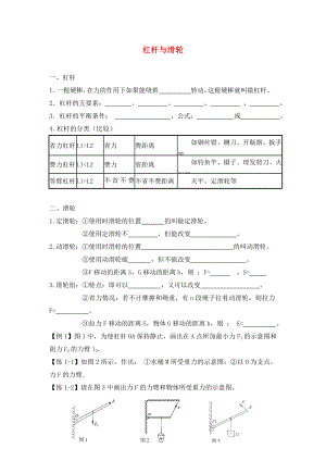 2020年中考物理專題復(fù)習(xí) 杠桿與滑輪試題（無答案）