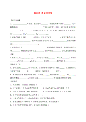 山東省濰坊安丘市2020中考物理 第六章 質(zhì)量和密度復(fù)習(xí)學(xué)案（無答案）