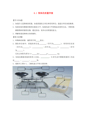 江蘇省南京市江寧區(qū)湯山初級(jí)中學(xué)八年級(jí)物理下冊(cè) 6.1 物體的質(zhì)量學(xué)案（無答案） 蘇科版