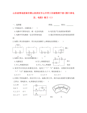 山東省青島膠南市黃山經(jīng)濟區(qū)中心中學八年級物理下冊《第六章 電壓、電阻》練習（1）（無答案）（通用）