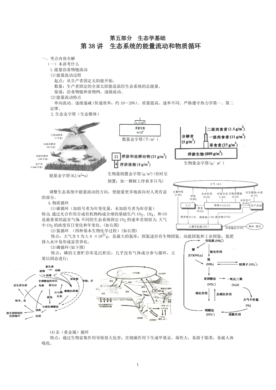 [高三生物教案]038生态系统的能量流动和物质循环(1.43M)_第1页