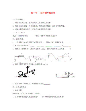 山东省临沂市八年级物理全册10.1杠杆的平衡条件学案1无答案新版沪科