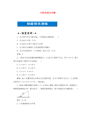 【優(yōu)化方案】2020浙江高考物理總復(fù)習(xí) 第2章第二節(jié) 力的合成與分解知能優(yōu)化演練 大綱人教版