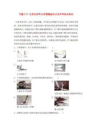 江蘇省蘇州市2020屆中考物理專題復習 專題十六 光學應用和光學圖像綜合以及聲學相關知識（無答案）