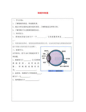 河北省豐寧滿族自治縣窄嶺中學(xué)八年級物理上冊 5.4 眼睛和眼鏡學(xué)案（無答案）（新版）新人教版（通用）