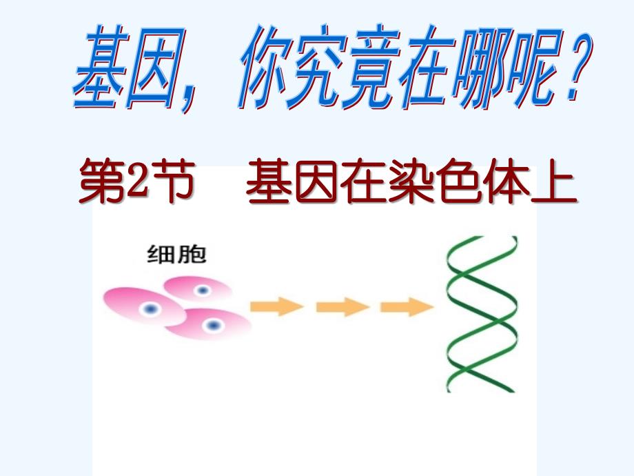 基因在染色体上(公开课)64255_第1页