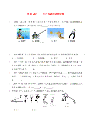 江蘇省南通市第一初級中學(xué)九年級物理下冊 課時18 杠桿和滑輪課堂檢測（無答案） 蘇科版