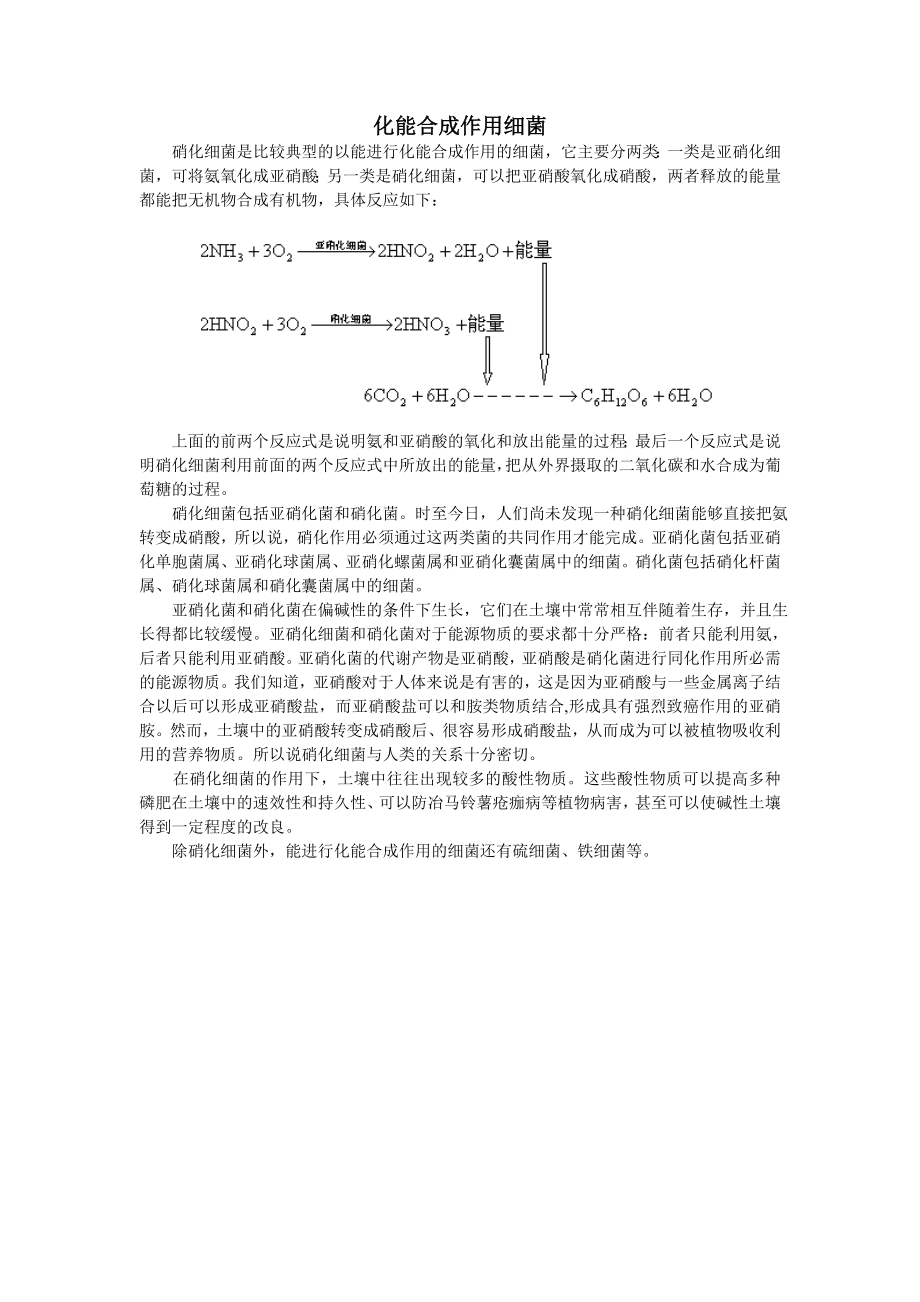 化能合成作用细菌_第1页