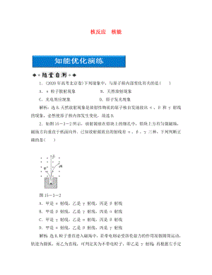 【優(yōu)化方案】2020高考物理總復(fù)習(xí) 第15章第三節(jié) 核反應(yīng) 核能知能優(yōu)化演練 大綱人教版