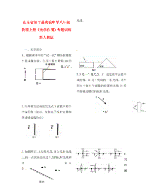 山東省鄒平縣實(shí)驗(yàn)中學(xué)八年級(jí)物理上冊(cè)《光學(xué)作圖》專題訓(xùn)練 新人教版（通用）