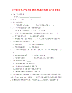 山東省文登市八年級物理《第五章質(zhì)量和密度》練習(xí)題（無答案） 魯教版（通用）