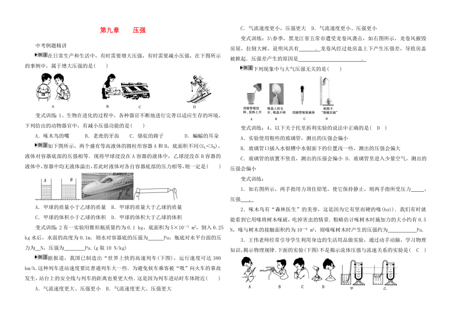 河南省2020年中考物理第一輪復習 第九章 壓強（無答案）_第1頁