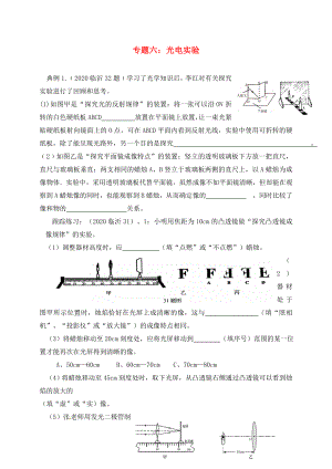 山東省臨沂市2020年中考物理二輪專題復(fù)習(xí) 專題六 光電實(shí)驗(yàn)專題（無(wú)答案）