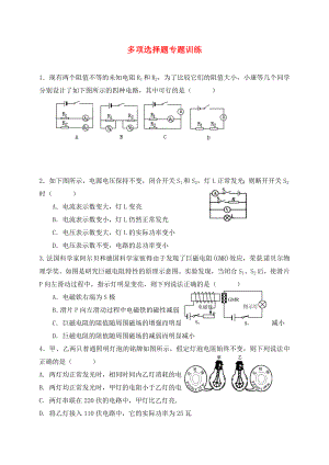 山東省聊城市2020中考物理 多項選擇題專題訓(xùn)練