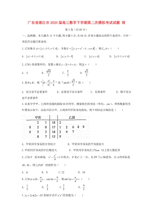 广东省湛江市2020届高三数学下学期第二次模拟考试试题 理